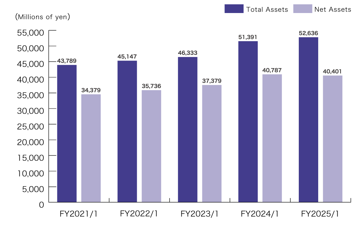 Total Assets / Net Assets