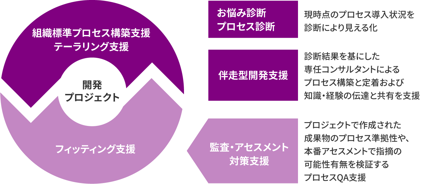 図版／プロセス導入支援サービスの特長