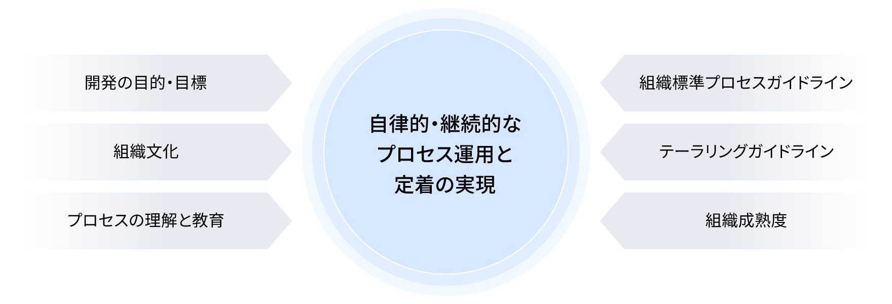 図版／自律的・継続的なプロセス運用と定着の実現